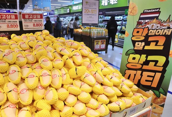 이마트 용산점 망고 매대 /사진=이마트