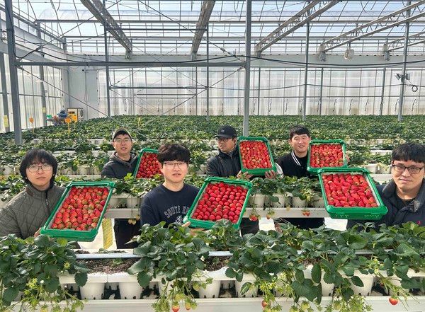 경북 의성의 '진한딸기 공선회' 청년 농부들이 상품과 함께 사진촬영하고 있다. /사진=쿠팡