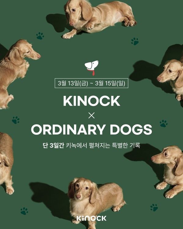 사진=교원그룹 키녹