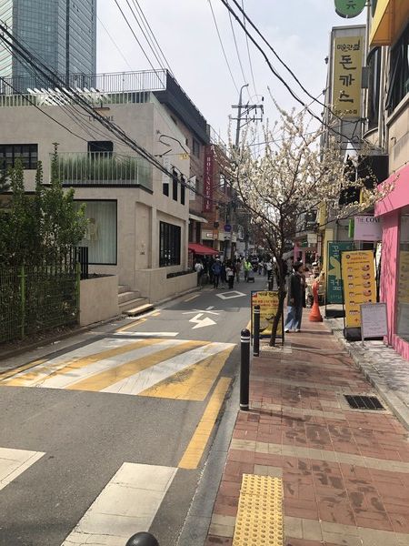 서울숲 아뜰리에길의 모습 /사진=김현정 기자