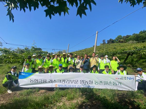 NH농협금융 리스크관리부문은 지난 13일, 경기도 남양주시 배 농가에서 일손돕기를 실시했다. 양재영 NH농협금융 리스크관리부사장(두번째줄 오른쪽에서 여섯 번째)과 김우겸 미금농협 조합장(두번째줄 오른쪽에서 다섯 번째), 임성우 농협중앙회 남양주시지부장(두번째줄 오른쪽에서 세 번째) 등 임직원들이 기념 촬영을 하고 있다. / 사진=NH농협금융&nbsp;