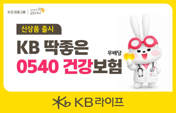 그래픽=KB라이프