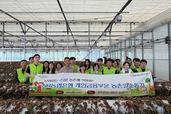 NH농협은행 개인금융부문은 영농철을 맞아 17일 경기도 포천시의 딸기 농가를 찾아 영농철 일손돕기 활동을 펼쳤다. / 사진=NH농협은행