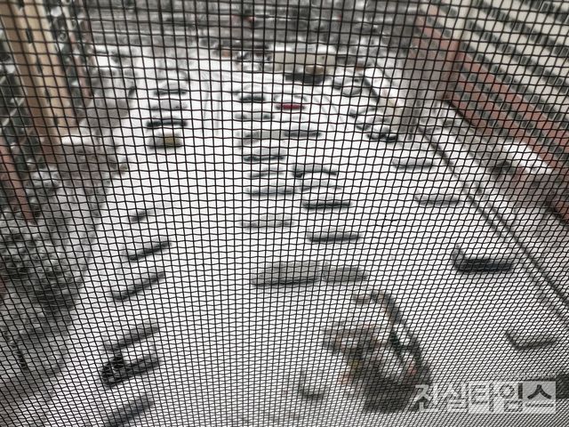 서울 대설주의보 3~8㎝ 많은 눈&nbsp;(서울=뉴시스)&nbsp;이윤영&nbsp;기자 = 오늘(5일) 중부지방을 중심으로 많은 눈이 예상된&nbsp;가운데 서울에 대설주의보가 내려졌다.&nbsp;기상청은 이 날, 오전 07시 30분 부로 동남권을 제외한 서울 일부 지역(동북권, 서남권, 서북권)에 대설주의보를 발효됐다. 2025.1.5. jinsiltimesdesk@jinsiltimes.org