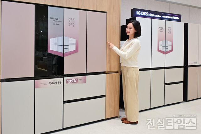 LGE 핏 앤 맥스 체험존 [LG전자 제공 재판매 및 DB 금지]