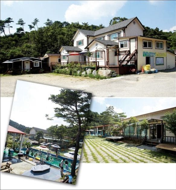 이종석 아버지가 운영했다는 자연농원펜션/더데이뉴스 참조