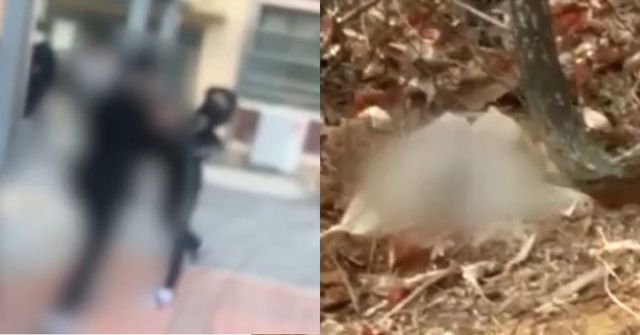 신림동 공원 성폭행 기사와 관련 없는 사진