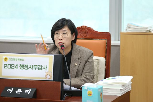 이은미 경기도의원