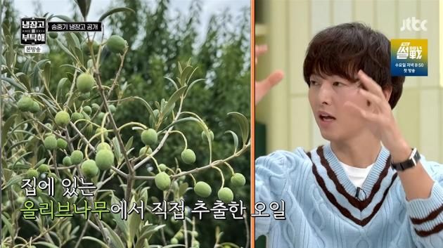 JTBC '냉장고를 부탁해 시즌2'