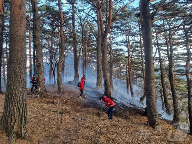 1일 오후 2시11분쯤 강원 강릉시 성산면 어흘리 대관령자연휴양림 인근에서 산불이 발생해 산림·소방당국이 진화작업을 벌이고 있다.(강원도소방본부 제공)/뉴스1