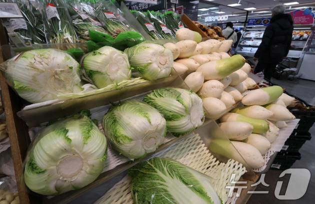 17일 서울시내 한 대형마트에서 배추와 무를 판매하고 있다. 설 명절을 앞두고 과일·채소 값 급등으로 인한 식탁 물가 상승에 들썩이는 휘발윳값까지 서민 가계 부담이 가중되고 있다. 정부는 '설 성수품 수급안정 대책'을 내놓는 등 물가 잡기에 나섰다. 한국농수산식품유통공사(aT)에 따르면 감귤 10개 소매가격은 4천460원으로 전월보다 무려 33.37% 급등했다. 채소값도 크게 상승했다. 배추(상) 1포기는 5천7원으로 전월 대비 13.87%, 전년 대비 79.78% 상승했다. 특히 무는 개당 3천189원으로 작년 1천449원보다 무려 120% 올랐다. 2025.1.17/뉴스1 ⓒ News1 박세연 기자
