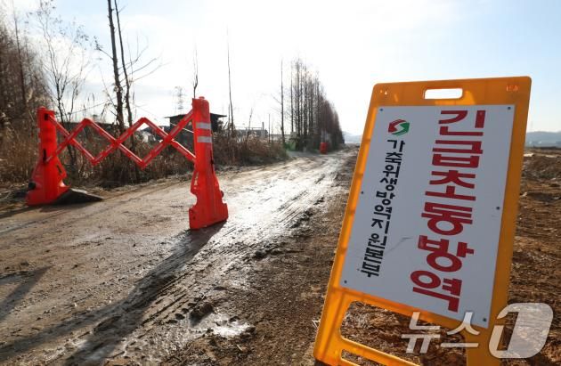 통제되고 있는 고병원성 조류인플루엔자(AI) 발생 농가/뉴스1