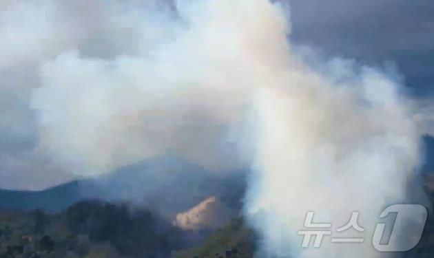 25일 오전 11시 57분쯤 대구 동구 백안동의 한 야산에서 원인을 알 수 없는 불이나 1시간 33분만에 꺼졌다. (산림청 제공) 2025.1.25/뉴스1