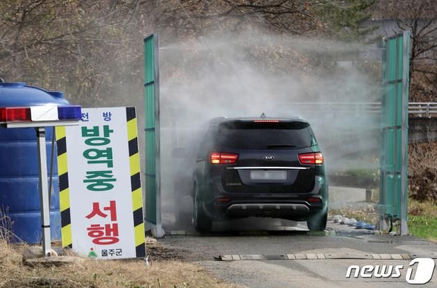 고병원성 AI가 발생한 지역에서 차량 소독이 진행되고 있다. ⓒ News1 윤일지 기자