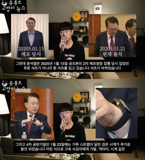 ('고양이뉴스' 갈무리)