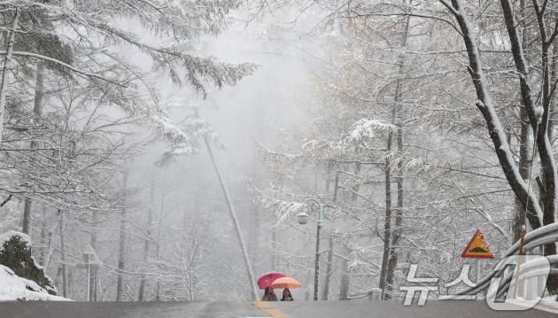 첫 눈이 내린 27일 경남 함양군 병곡면 함양대봉산휴양밸리 주변이 온통 하얀 눈세상을 연출하고 있다. (함양군 김용만 제공) 2024.11.27/뉴스1