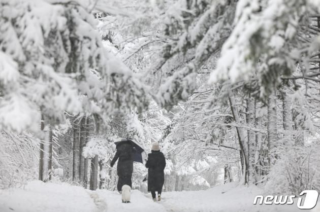 강원 평창군 대관령 선자령 등산로 .(뉴스1 DB)ⓒ News1 김도우 기자