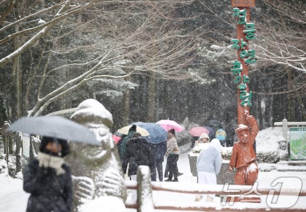제주시 봉개동 절물자연휴양림에서 관광객들이 설경을 즐기고 있다. (사진은 기사 내용과 무관함) / 뉴스1 ⓒ News1