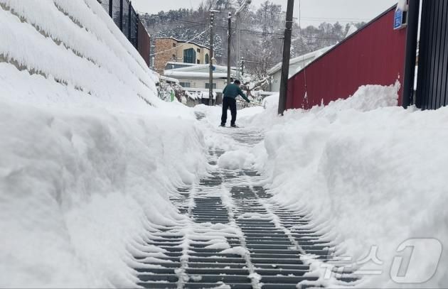 28일 많은 눈이 내린 충남 금산군에서 한 주민이 눈 앞에 쌓인 눈을 쓸고 있다. 금산에는 밤사이 15.9 ㎝의 눈이 쌓였다. 2025.1.28. /뉴스1ⓒNews1 이시우 기자 ⓒ News1 이시우 기자