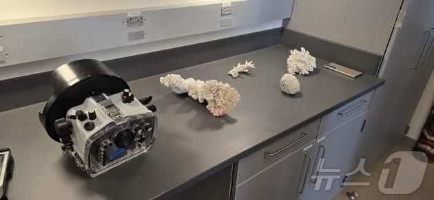 기존 산호초 생태 연구에 쓰였던 수중 촬영 장비와 이를 대체하는 갤럭시 모바일 기기 간의 비교./뉴스1 ⓒ News1 윤주영 기자