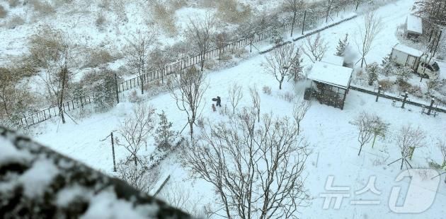 전북 전역에 대설특보가 발효된 28일 전북자치도 완주군 삼봉로 일원에 눈이 내리고 있다. 2025.1.28/뉴스1 ⓒ News1 유경석 기자