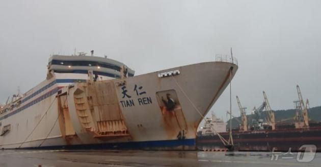 카페리 천인호 인터넷 갈무리 / 뉴스1