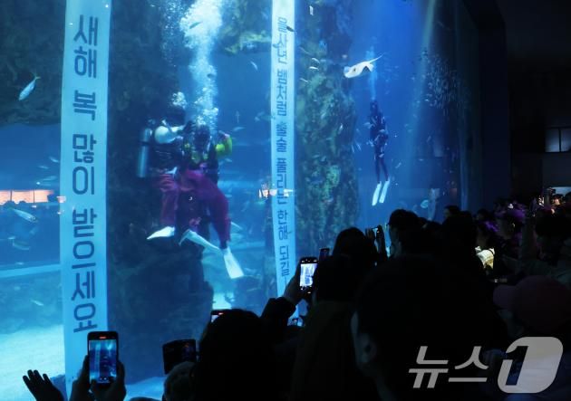 민족대명절 설 연휴 마지막 날인 30일 오후 서울 송파구 롯데월드타워 아쿠아리움에서 한복을 입은 아쿠아리스트들이 관람객들에게 설 인사를 하고 있다. 2025.1.30/뉴스1 ⓒ News1 오대일 기자