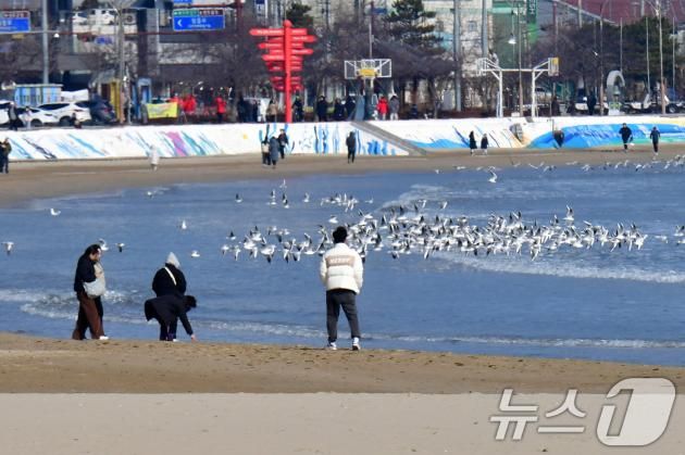 설연휴 마지막날인 30일 경북 포항시 북구 영일대해수욕장에서 관광객들이 연휴 마지막 날을 즐기고 있다. 2025.1.30/뉴스1 ⓒ News1 최창호 기자
