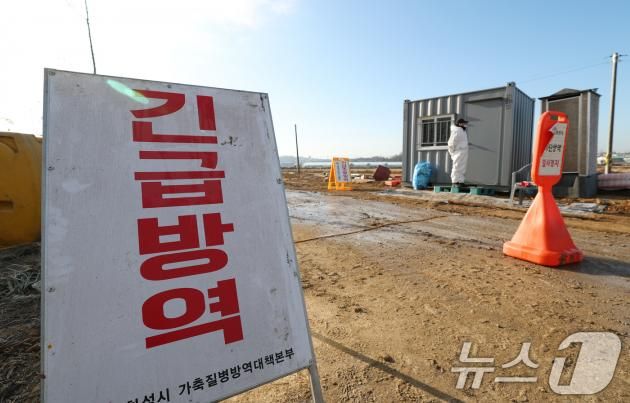 고병원성 조류인플루엔자(AI)가 발생한 농장이 통제되고 있다. ⓒ News1 김영운 기자