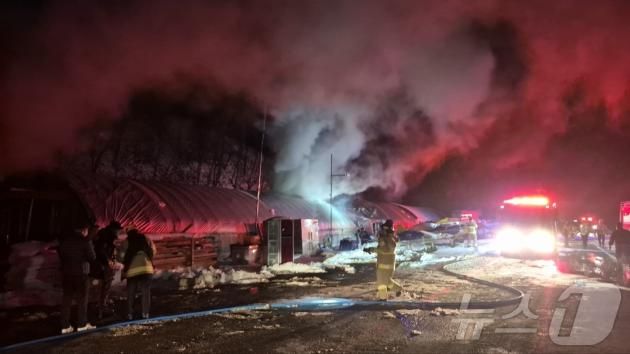 화재가 발생한 단양군 매포읍 영천리 한 비닐하우스.(단양소방서 제공)/뉴스1