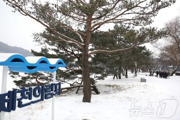 의림지에서 가족단위 나들이객들이 눈을 만끽하고 있다. 2025.1.5/뉴스1 손도언 기자