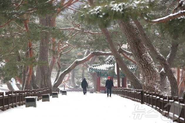 의림지에서 나들이객들이 눈길을 산책하고 있다. 2025.1.5/뉴스1 손도언 기자
