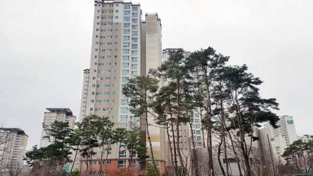 백현동 아파트 단지 전경