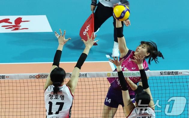 2일 인천시 부평구 삼산월드체육관에서 열린 프로배구 여자부 '도드람 2024-2025 V-리그' 흥국생명과 정관장의 경기에서 흥국생명 정윤주가 공격하고 있다. 2025.2.2/뉴스1 ⓒ News1 박세연 기자