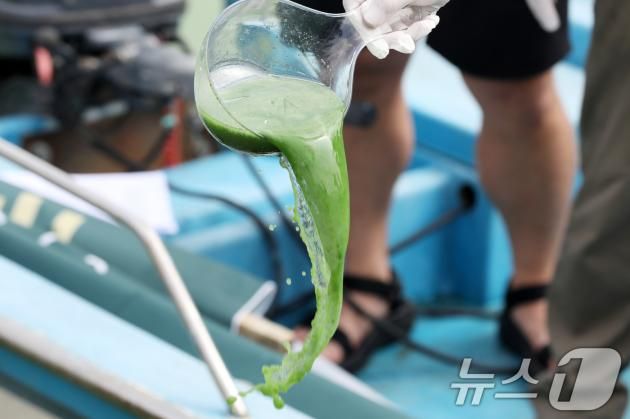 낙동강네트워크·대한하천학회·환경운동연합 구성원들이 경남 김해 대동선착장에서 낙동강 녹조 농도 분석 등 조사 계획을 밝히는 기자회견을 열고 녹조가 번식한 낙동강물을 투명 용기에 담은 뒤 다시 쏟아붓고 있다. 뉴스1 ⓒ News1 윤일지 기자