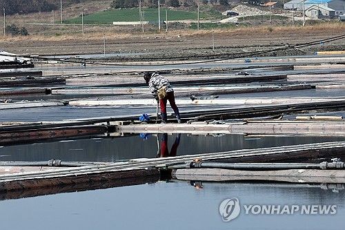 (신안=연합뉴스) 김혜인 기자 = 7일 오전 전남 신안군 증도 태평염전에서 작업자가 염전을 정리하고 있다. 미국 정부가 지난 3일 강제노동 규정을 위반한 국내 최대 규모 단일염전인 태평염전의 소금 수입을 차단하는 인도보류명령을 발동했다고 밝혔다. 2025.4.7 in@yna.co.kr