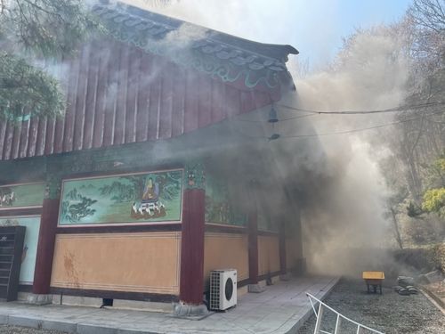 [산림청 제공. 재판매 및 DB 금지]