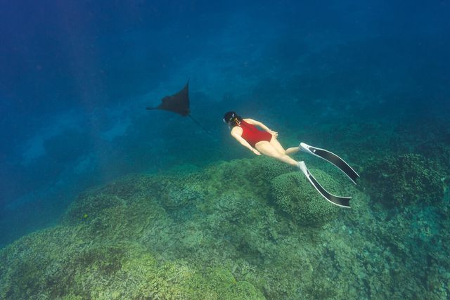 ▲&nbsp;메르프리다이빙