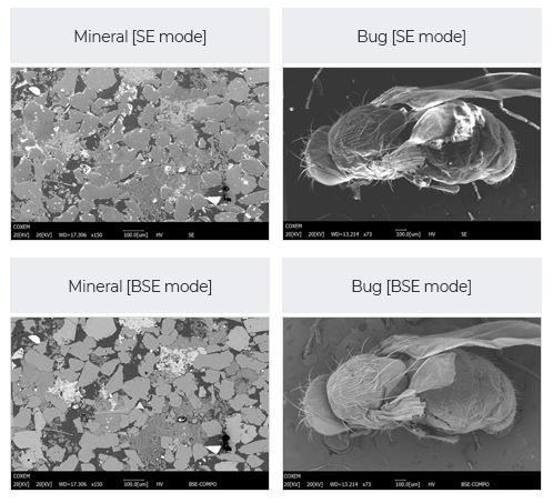 주사전자현미경(SEM)의 전자빔을 대상체에 주사하면 이차전지(SE. Secondary Electron)과 후방산란전자(BSE. Back Scattered Electron) 등 다양한 신호를 발생시킨다. 코셈측 사진제공
