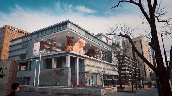 닷밀 사진제공.