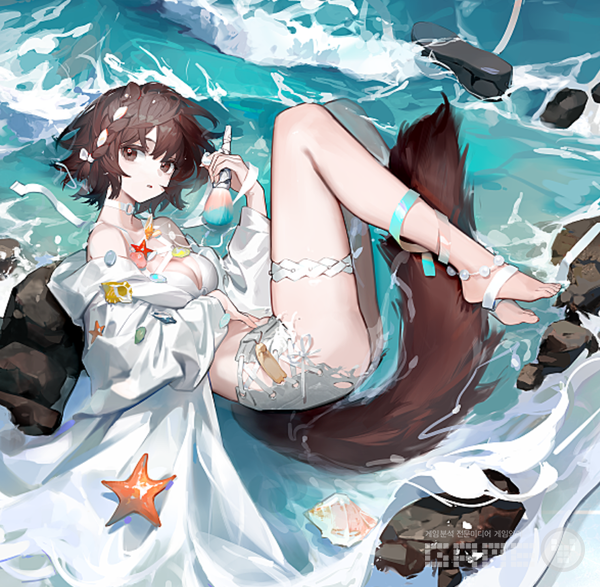 수영복 테마의 코랄코스트 신상 컬렉션 /요스타