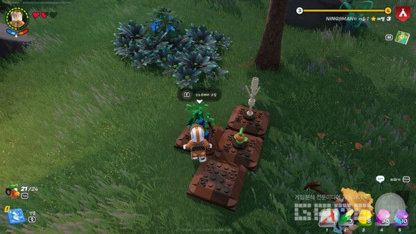 여러개를 만들어서 씨앗을 뿌린다. 물은 안 줘도 된다. ​레고 포트나이트 /게임와이 촬영