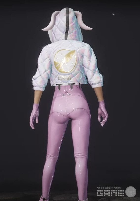 배그 바니걸 스킨 /크래프톤