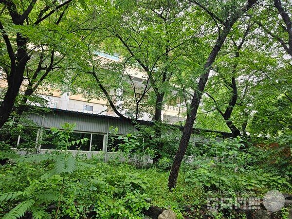 어린이대공원 /게임와이 촬영