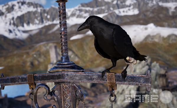 나이트 크로우 /게임와이 촬영