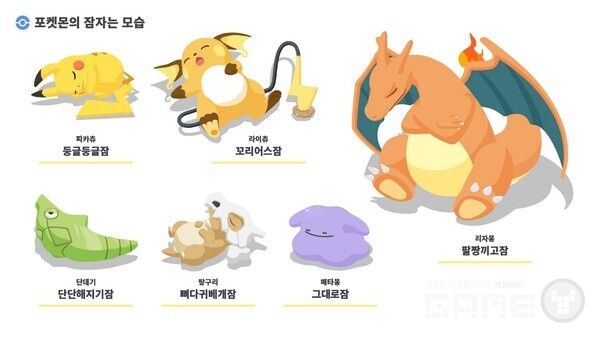 포켓몬 슬립 /포켓몬