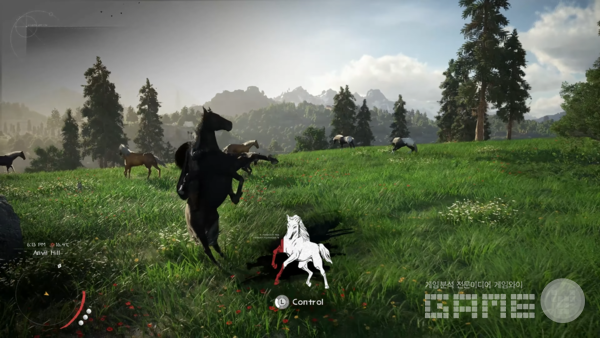 붉은사막 /펄어비스