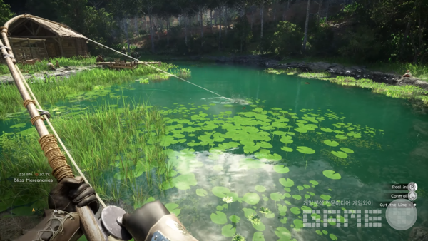 붉은사막 /펄어비스