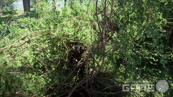 붉은사막 /펄어비스