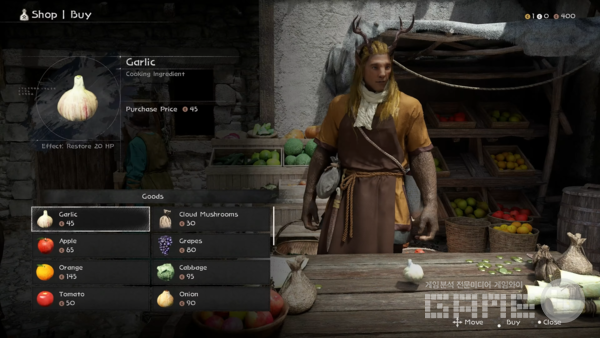 붉은사막 /펄어비스